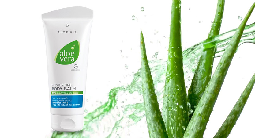 You are currently viewing Aloe Vera Körperbalsam